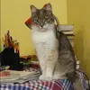 Отзыв от Василиса Иванова